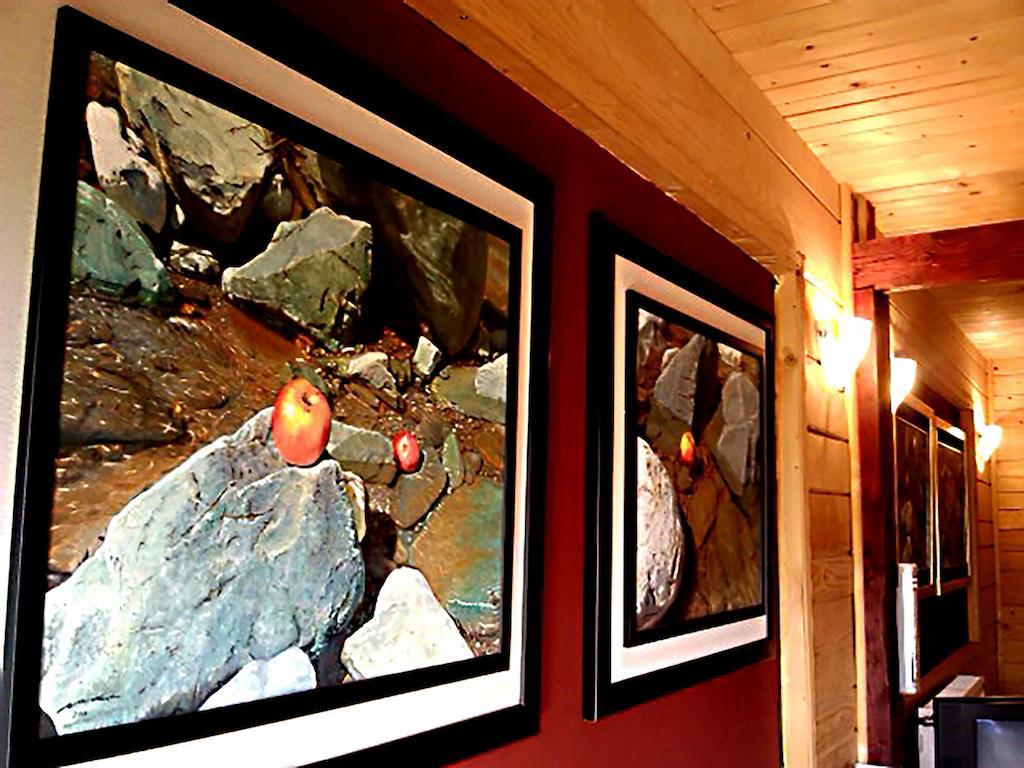 Art Apartments Minic Kolašin Extérieur photo