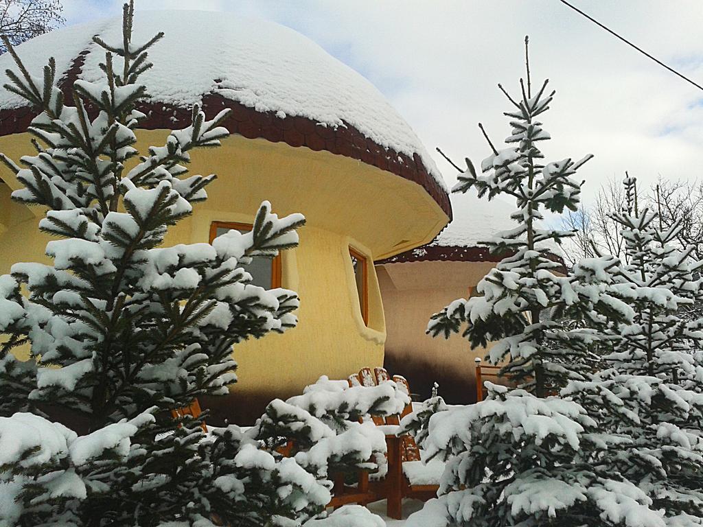 Art Apartments Minic Kolašin Extérieur photo